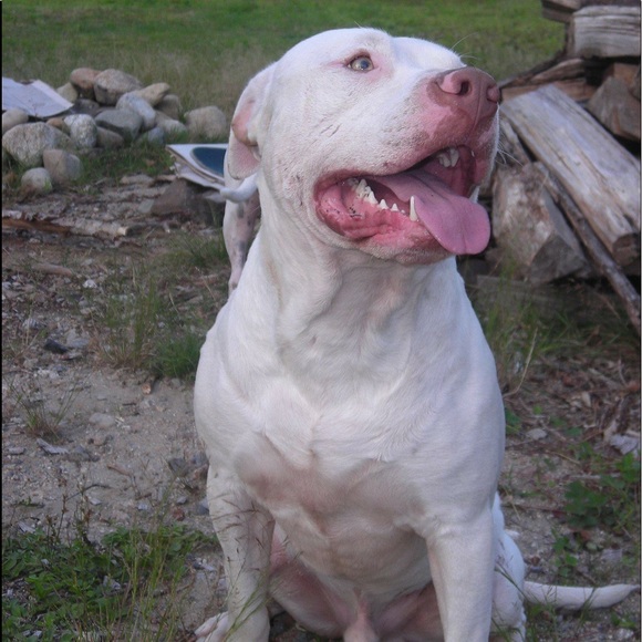 Meet your Posher, Alana - Picture 2 of 16